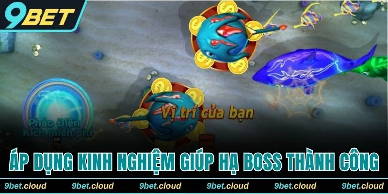 Áp dụng kinh nghiệm giúp hội viên hạ Boss thành công