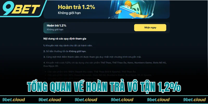 Tổng quan về chương trình hoàn trả vô tận 1,2%